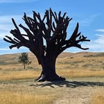 Jane Orth - @bigskyjlo - Instagram