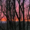 Janet Humphrey Ostrander - @janet.humphrey.os - TikTok