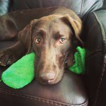 Jane Ashley Pace - @pace1125 - Instagram