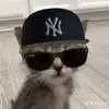janeee_socool - @janepacifico1 - TikTok
