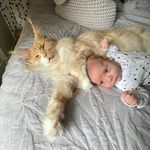 Jane Page - @minxymoonpig - Instagram