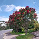 Jane Pascoe - @jane.pascoe.10 - Instagram