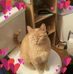 Jane Payton - Facebook