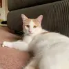 janepayton709 - @janepayton709 - TikTok