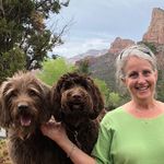 Jane Peck Binnings - @redrockdoodles - Instagram