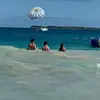 janepeck3388 - @janepeck3388 - TikTok