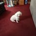 Jeanie Phares - Facebook