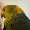 Jane S. Phelan - @jane.s..phelan - TikTok