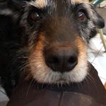 Jane Philpott - @jane.philpott.101 - Instagram