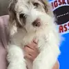 Jane Philpott - @jane.philpott0 - TikTok
