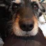 Jane Philpott - @jane.philpott.101 - Instagram