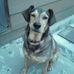 Jane Phipps - Facebook