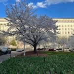 Jane Phipps - @chesapeake1965 - Instagram