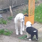 Jane Phipps Wozencroft - @phippswozencroft - Instagram