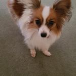 Jane Pickert - @janepickert - Instagram