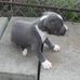 Kelly Jane Pick - Facebook