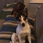 Jane Pickens - @bj51780 - Instagram