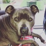 jane pickles - @janepickles6119 - Instagram