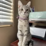Aurora Jane Pickles “Rory” - @aurorajanepickles - Instagram