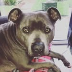 jane pickles - @janepickles6119 - Instagram