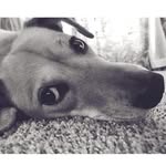 Zooey Jane Pickles - @the_intrusivezooeyjane - Instagram