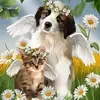 Janet Pidgeon343 - @janetpidgeon343 - TikTok