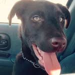Pieper Jane - @pieper_jane - Instagram