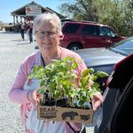 Jane Piercy - @mommajanep - Instagram