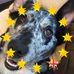 Jane Piercy - Facebook
