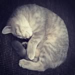 @pillow.jane - Instagram