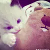 I'm your cutiee! - @janepimentel4906 - TikTok