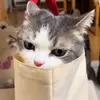 Jane - @janepimentel - TikTok