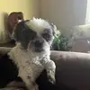 janepimentel14 - @janepimentel14 - TikTok