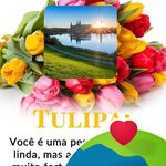 Jane Araujo - @jane.pinho.1 - Instagram