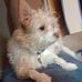 Janet Pipkins - Facebook