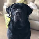 @jane__pitman - Instagram