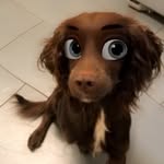 Jane Pitman - @janiepit - Instagram