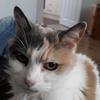 janepitman1964 - @janepitman1964 - TikTok