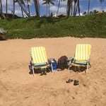 Jane Placek - @janeplacek - Instagram