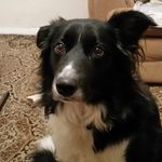 Jane Plummer - @plummer_jane - Instagram
