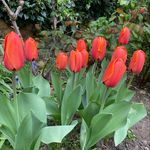 @jane_plummer_ - Instagram