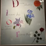 Jayne Pomfret - Facebook