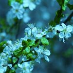 Евгения - @jane_popova2007 - Instagram