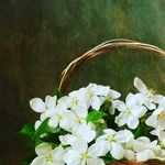 jane popova - @popova.jane - Instagram
