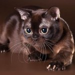Евгеша - @janepopova200278 - Instagram