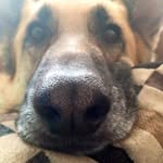 Jan Poteet - @poteetjan - Instagram