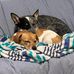 Scott-Jane Poteet - Facebook