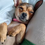 Janice Powley - @janice.powley - Instagram