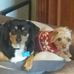 Jane Prather - Facebook