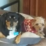 Jane Prather - @pratherjane - Instagram